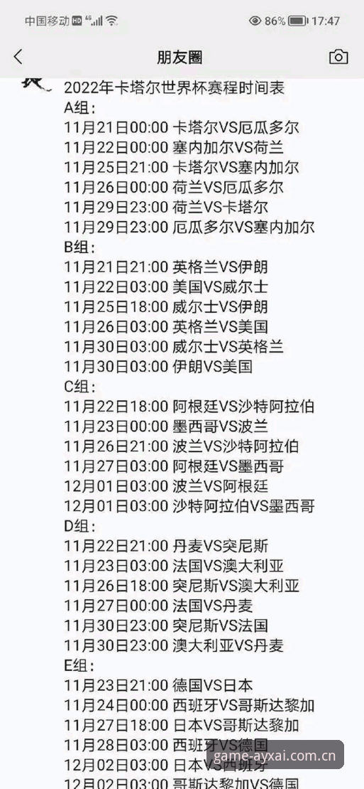 世界杯观赛实用技巧：如何应对签证难题与赛事冷场